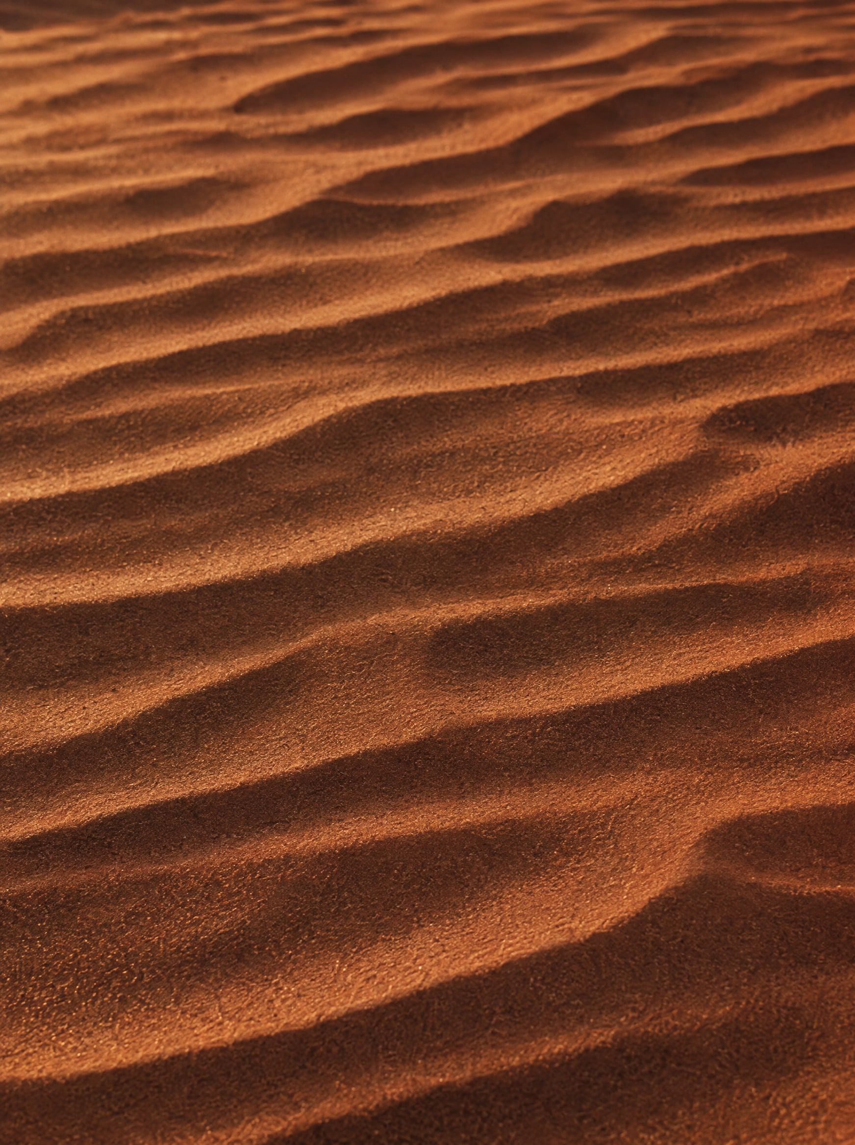 Wind ripples in red desert sand
